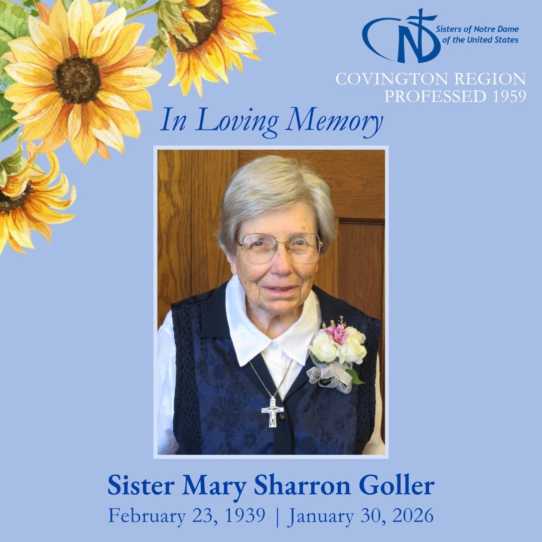 626883478 1381535270679458 4706671628086673828 N