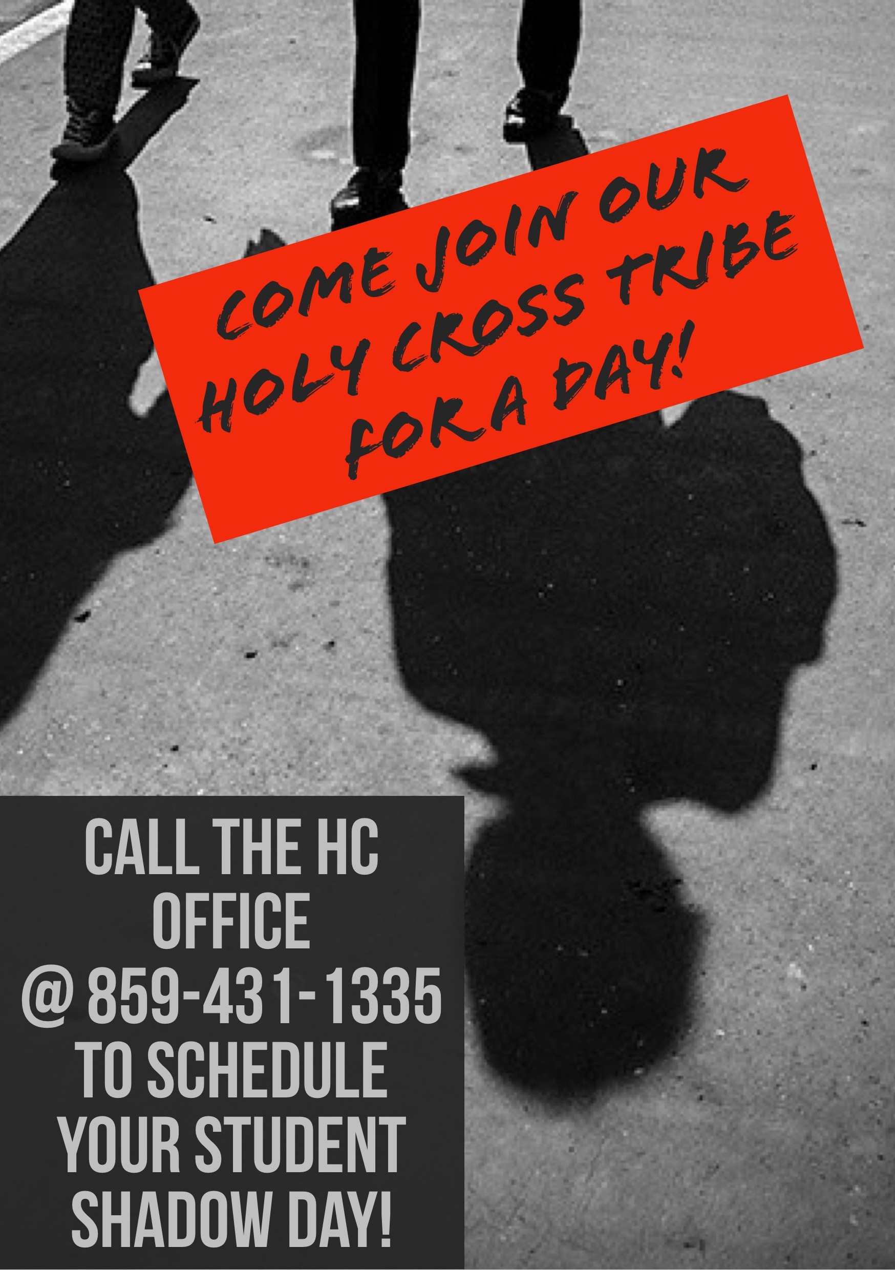 Holy Cross Wants You!